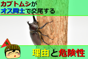 Thumbnail of post image 043